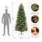 7.5ft. Pre-Lit Wallace Pine Artificial Christmas Tree, Warm White LED Lights